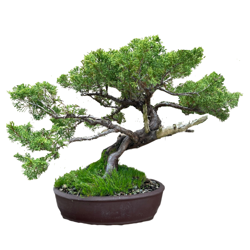 Holly, please update.